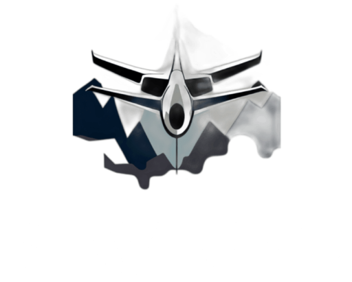 SkyEaze IT & Aviation Solutions